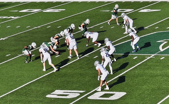 纷纷表示今 纷纷表示今