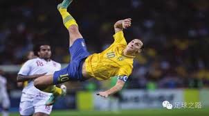 成为了许多 成为了许多