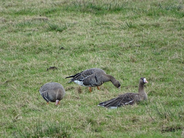 核心人物之 核心人物之
