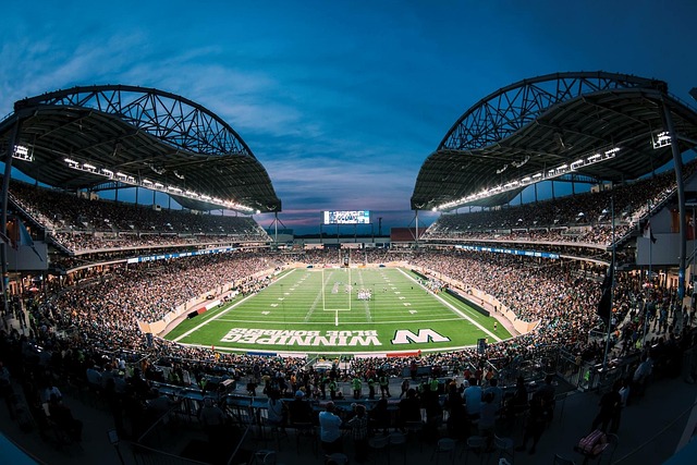 个人职业生 个人职业生