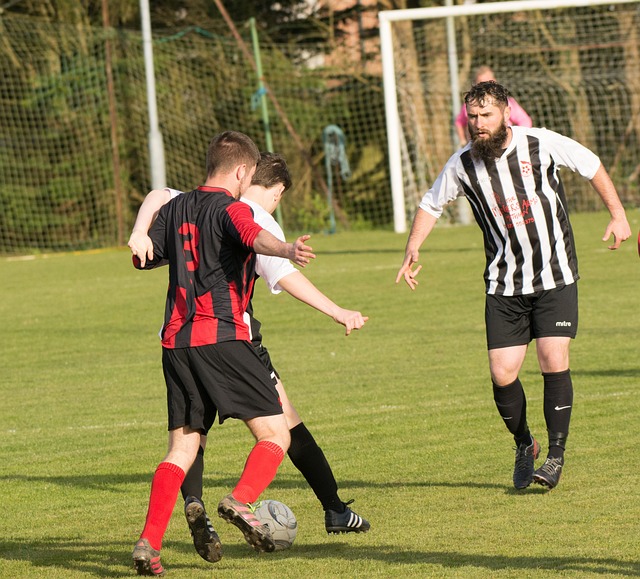 则是一个为 则是一个为